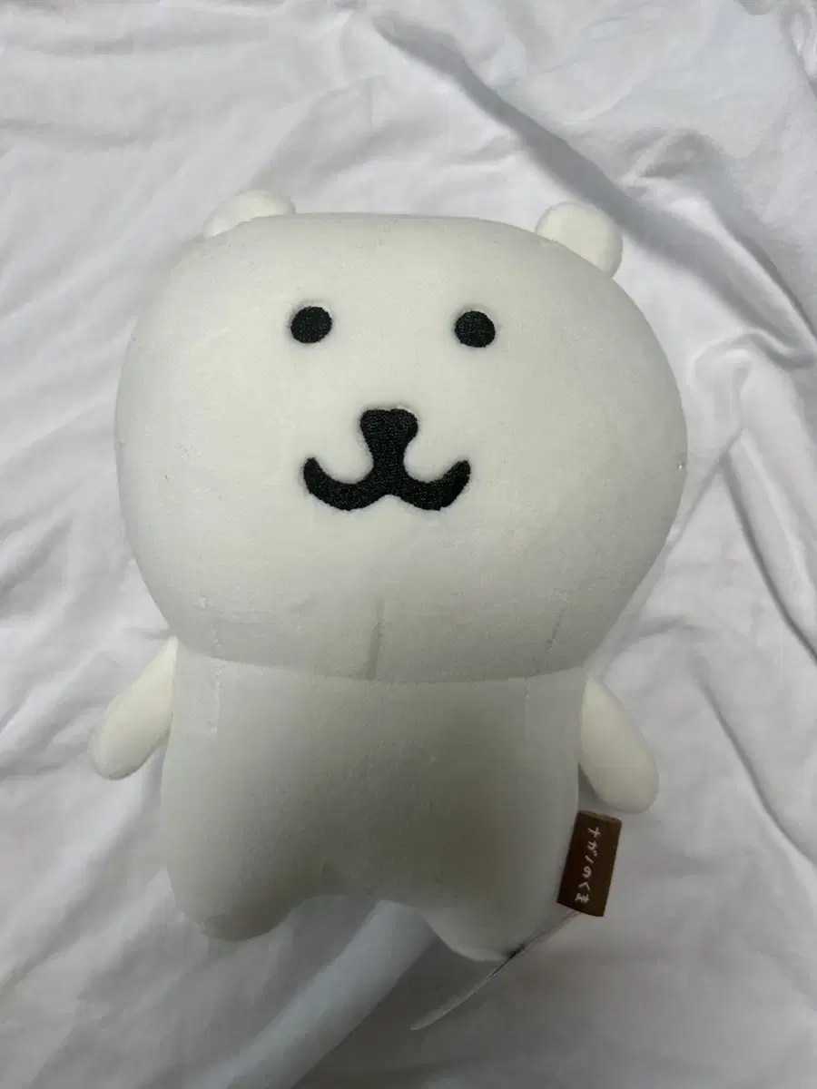 20cm농담곰 판매해요!